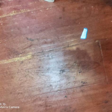 星空体育 可持续材料应用